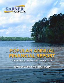 Popular Annual Financial Report - 2016
