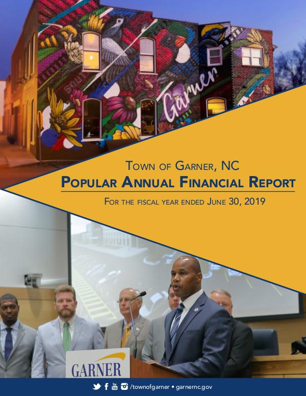2019 Popular Annual Financial Report volume 1