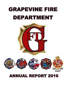 GFD Annual Report 2016
