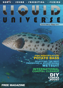 Liquid Universe  ::  Fourth Edition  ::  August 2013