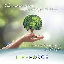 LIFEforce Brochure