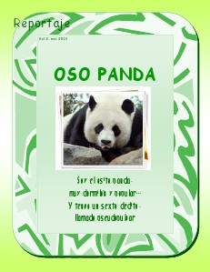 Oso Panda Volumen II, 2013