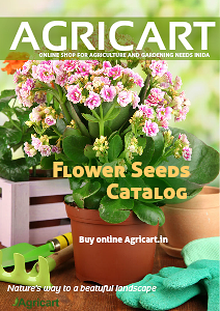Agricart seed catalog