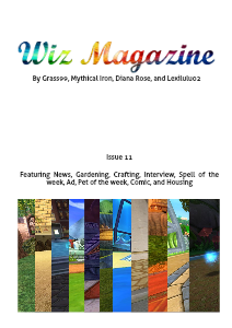 Wiz Magazine 4/9/13