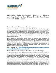 Industrial Bulk Packaging Market Research Report and Forecast