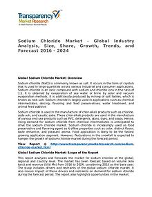 Sodium Chloride Market Research Report and Forecast up to 2024