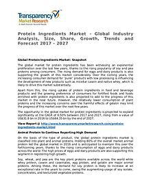 Protein Ingredients Market SWOT Analysis Of Top Key Player Forecasts