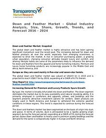 Down and Feather Market 2016 Share, Trend, Segmentation and Forecast