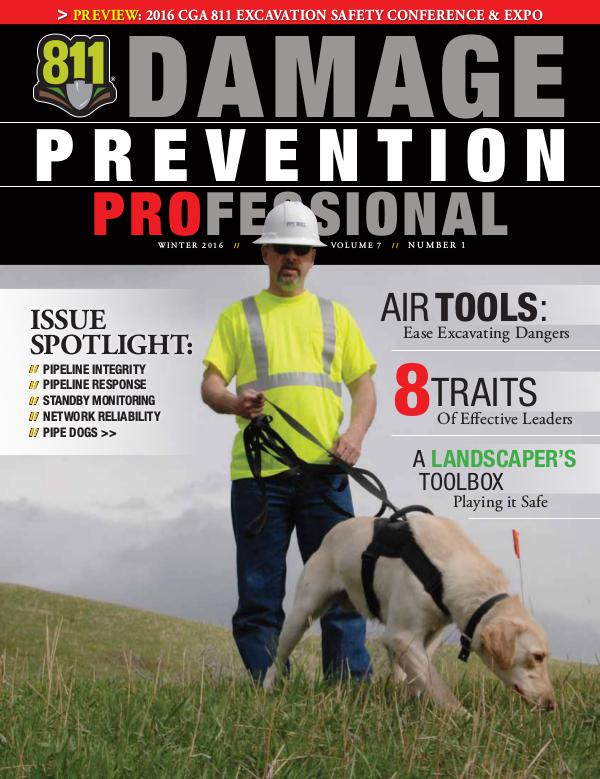 Damage Prevention Professional 2016 Q1