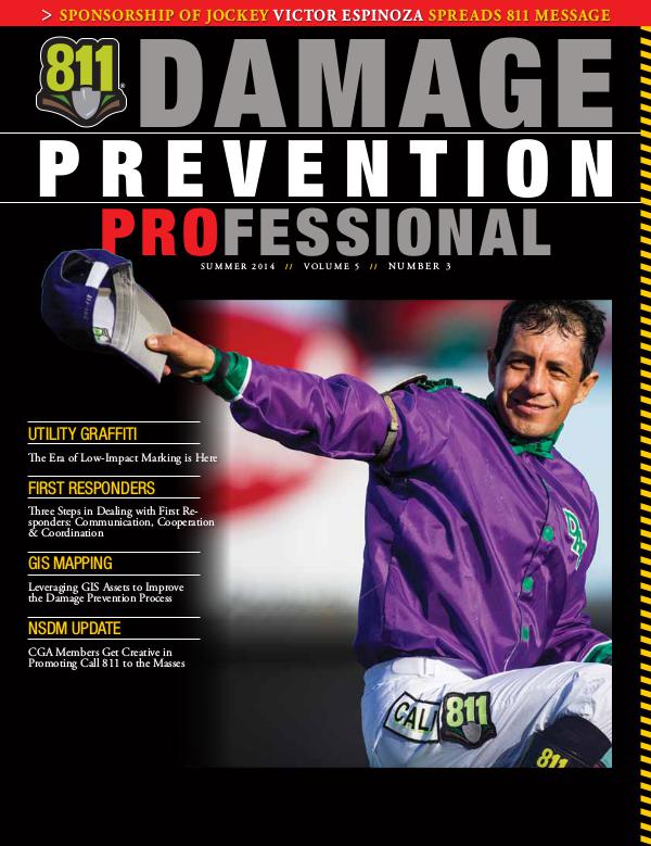Damage Prevention Professional 2014 Q3