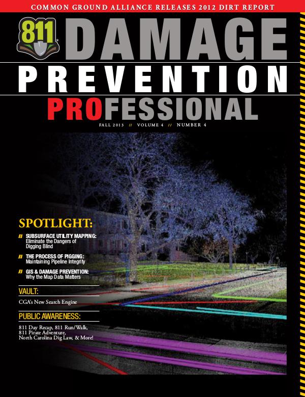 Damage Prevention Professional 2013 Q4