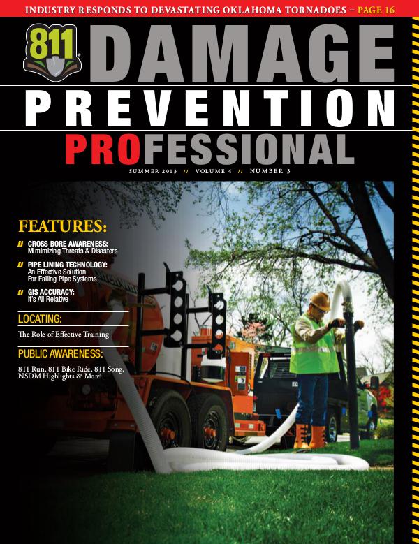 Damage Prevention Professional 2013 Q3