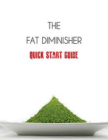 Fat Diminisher PDF / System