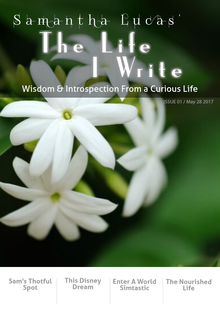 The Life I Write Issue 1