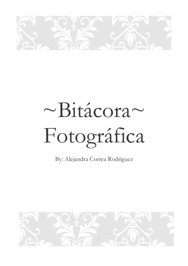 Bitácora fotográfia 1