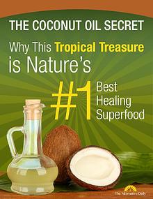 The Coconut Oil Secret PDF / Book