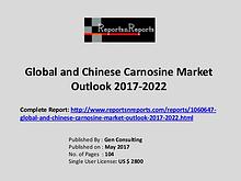 Carnosine Market Growth Analysis and Forecasts To 2022