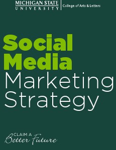 Social Media Marketing Strategy November 2013