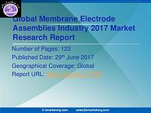 Membrane Electrode Assemblies Market Research Report 2017-2022