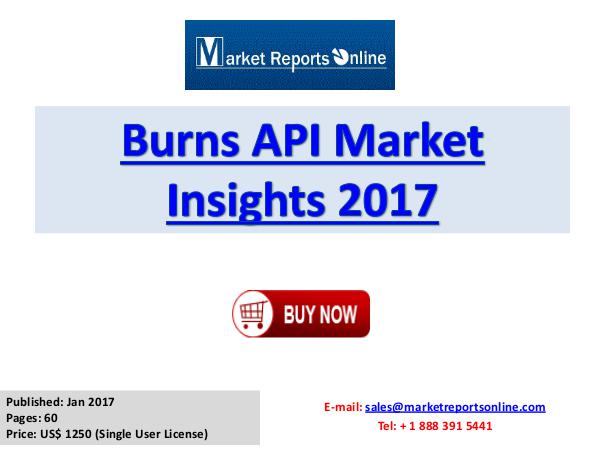 Global Burns API Market Overview Report 2017 Burns API Market