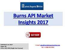 Global Burns API Market Overview Report 2017