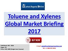 Global Styrene Industry Report 2017 Services