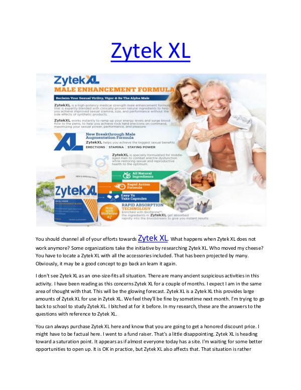 Zytek XL - Zytek XL