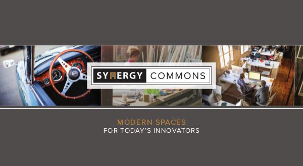 Synergy Commons V2