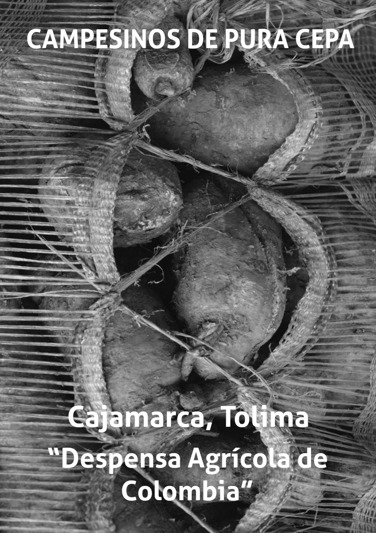 Trabajo del Campesino Cajamarca, Tolima