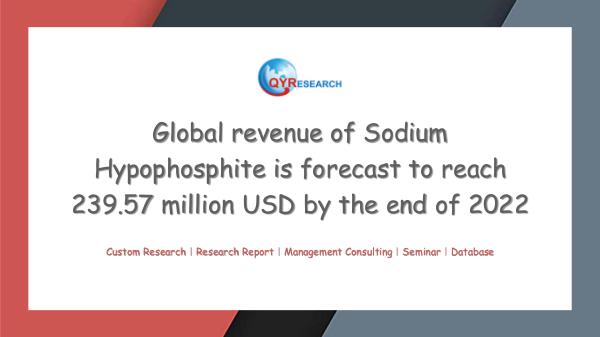 Global Sodium Hypophosphite Market Research