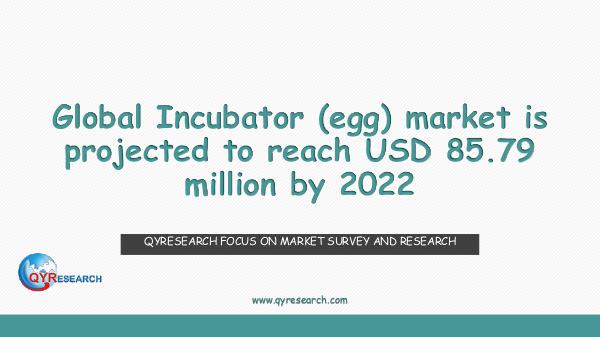 QYR Market Research Global Incubator (egg) market research