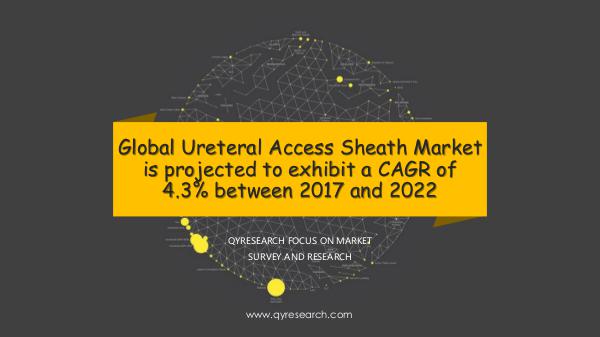 Ureteral Access Sheath Market Research Report
