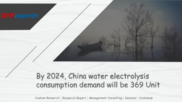 China water electrolysis market research