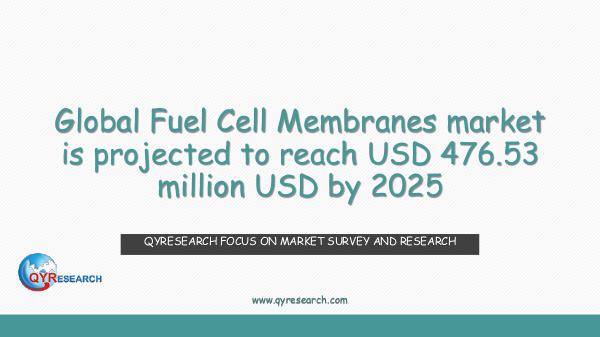 QYR Market Research Global Fuel Cell Membranes market research