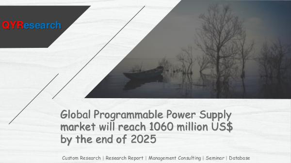 Global Programmable Power Supply market research