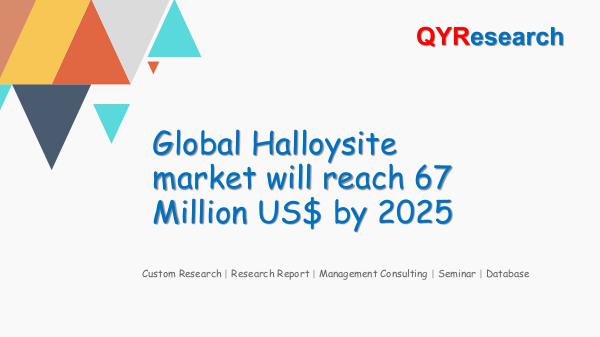 Global Halloysite market research