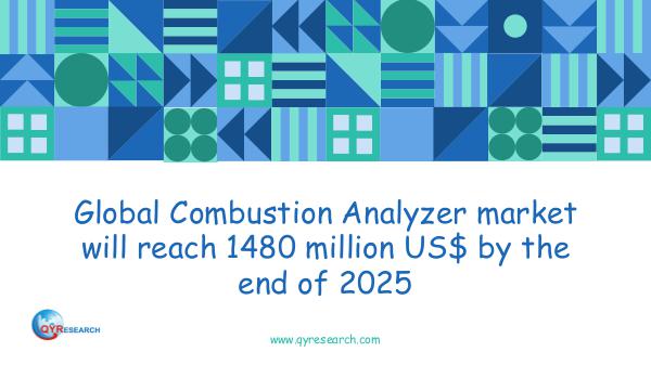Global Combustion Analyzer market research