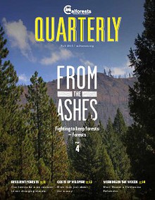 Calforests Quarterly 2013