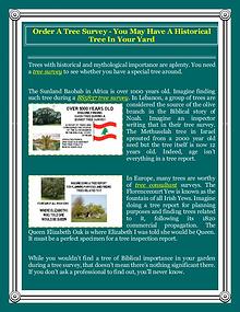 Order A Tree Survey - You May Have A Historical Tree In Your Yard