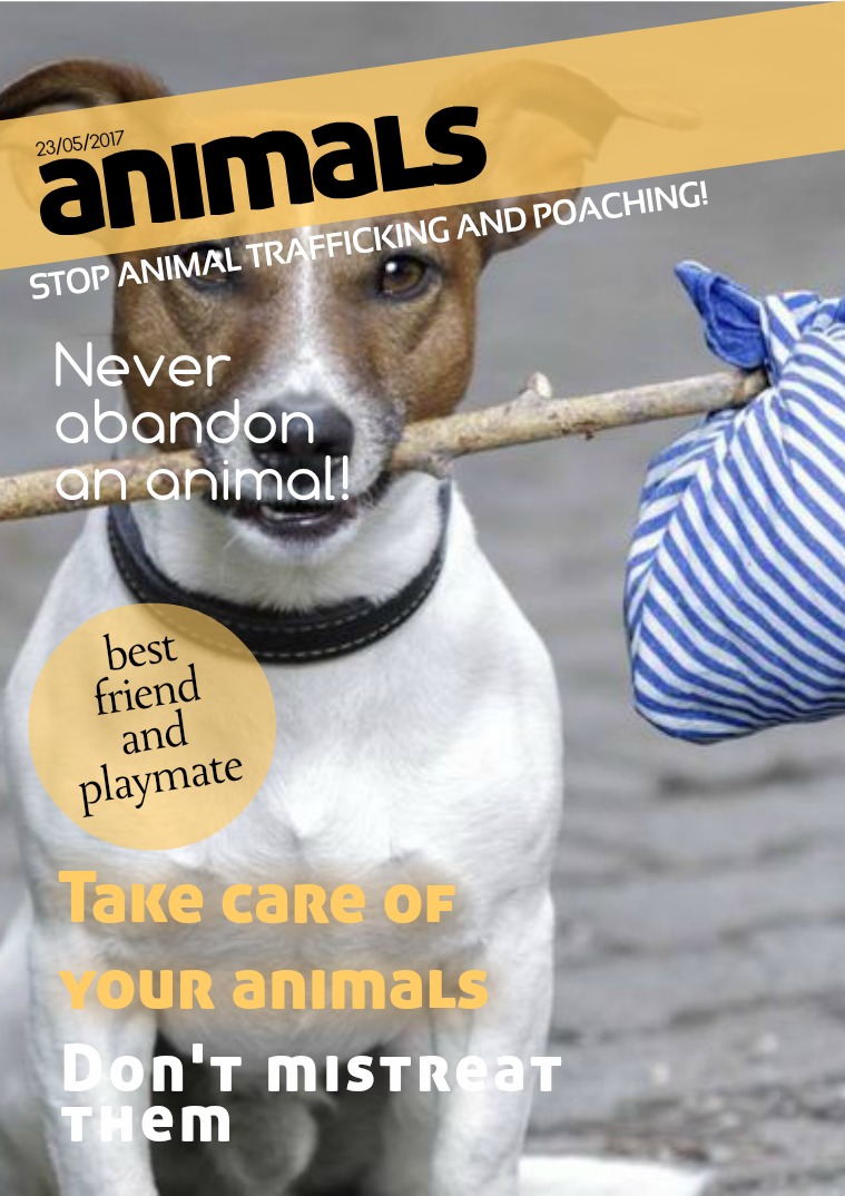 Mi primera revista Animals