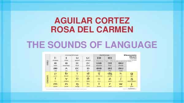 the sounds of language the sounds of language