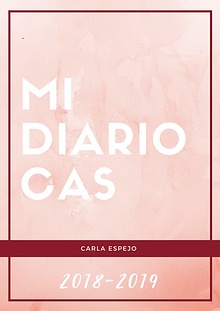 Mi Diario CAS