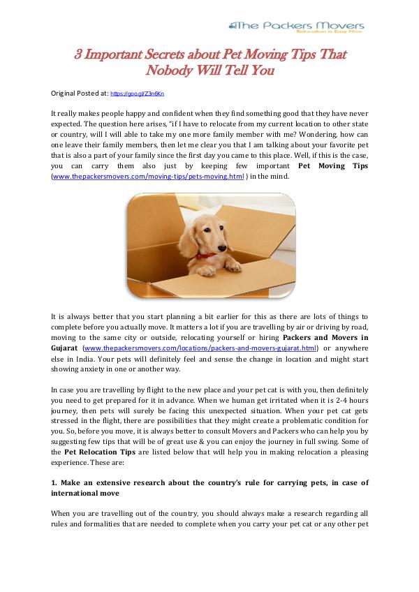 3 Important Secrets about Pet Moving Tips That Nobody Will Tell You 3 Important Secrets about Pet Moving Tips That Nob