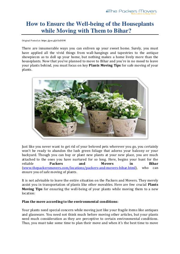 How to Ensure the Well-being of the Houseplants while Moving How to Ensure the Well being of the Houseplants wh