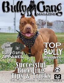 Bully Gang Magazine