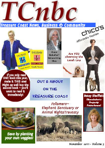 Treasure Coast News, Business and Community Nov. 2011