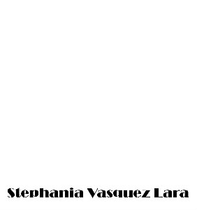Stephania Vasquez Lara Stylist Portafolio portafolio diseÃ±o de modas