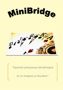 MiniBridge - 2013