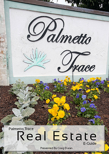 Palmetto Trace Real Estate e-Guide