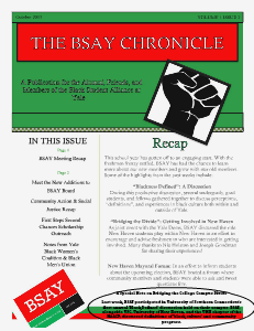 BSAY Chronicle Volume 1 Issue 2